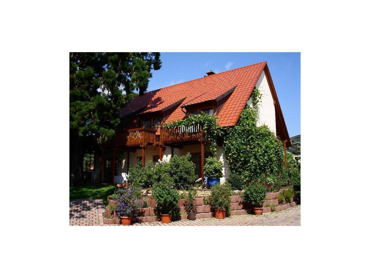 Gaestehaus Hellmer Neustadt an der Weinstraße 外观 照片